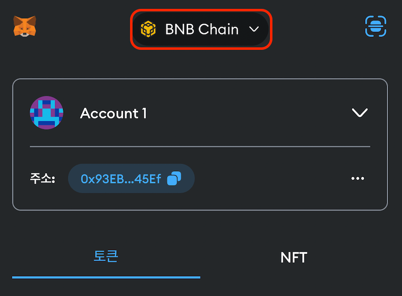 메타마스크-BNB-Chain